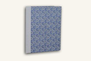 Blue-gray folder with light tendrils